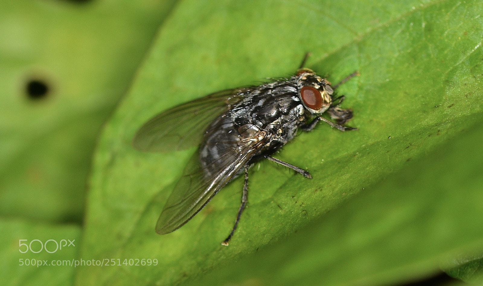 Nikon D5200 sample photo. Fly2 photography
