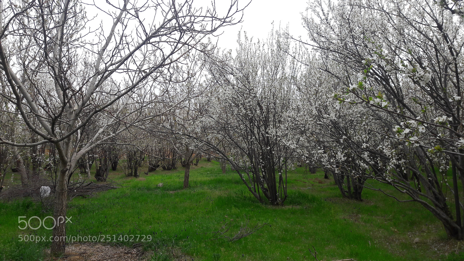 Samsung Galaxy J7 sample photo. 20170411_171850.jpg photography