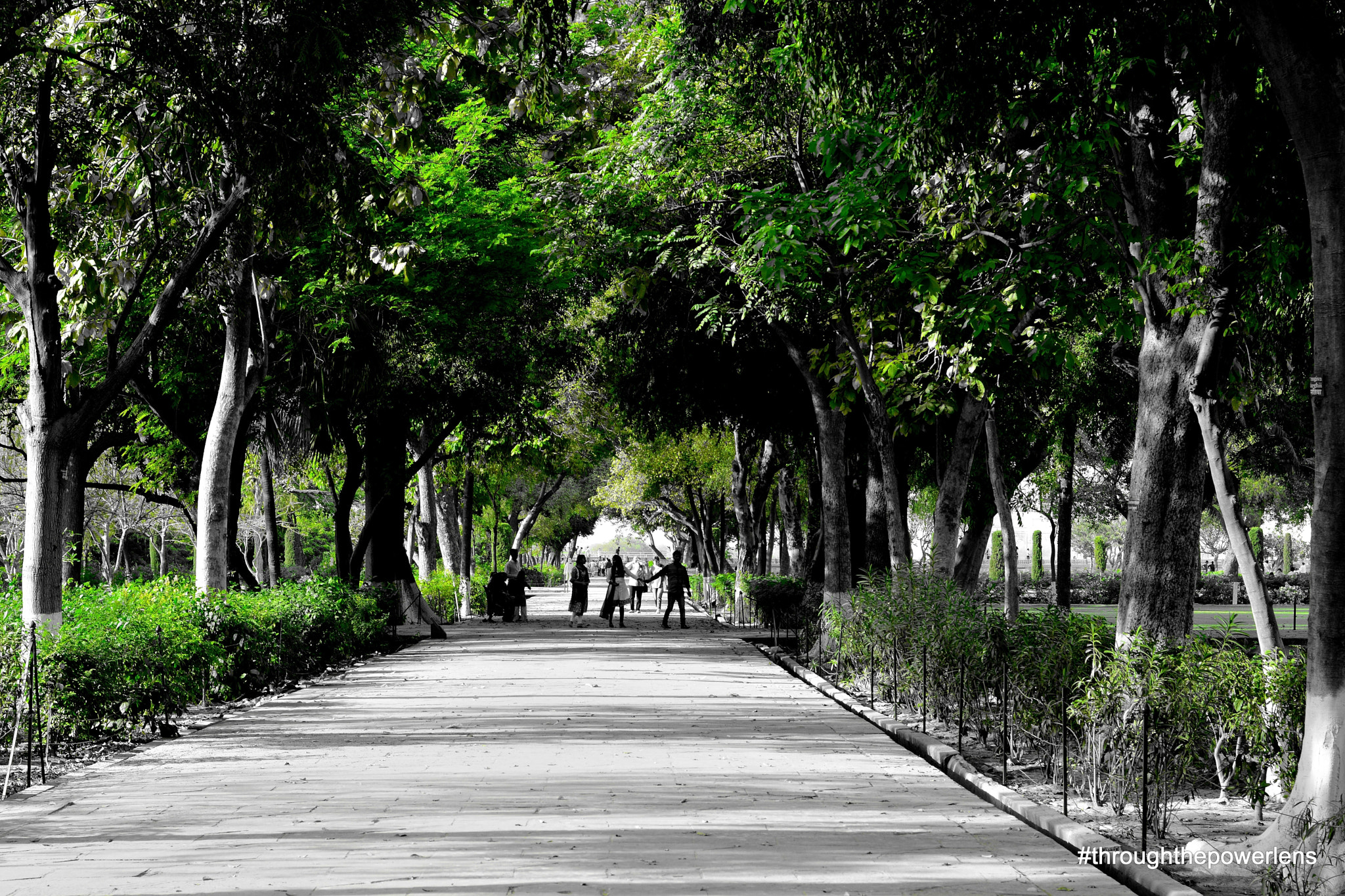 Nikon D5200 + Nikon AF-S Nikkor 50mm F1.8G sample photo. Agra visit photography