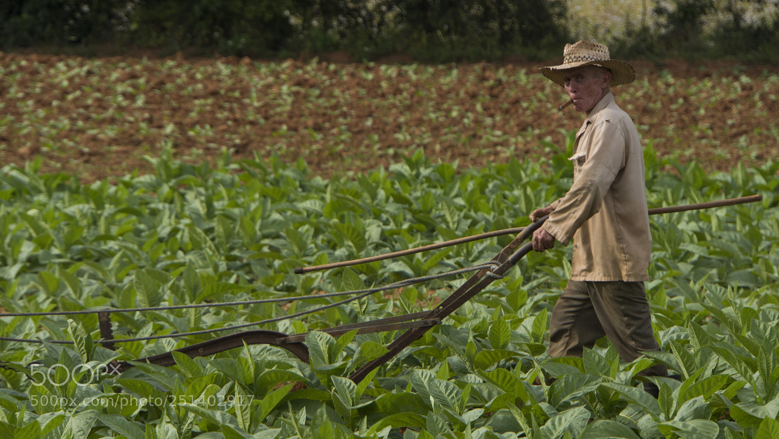 Sony a6500 sample photo. Cuban farmer photography