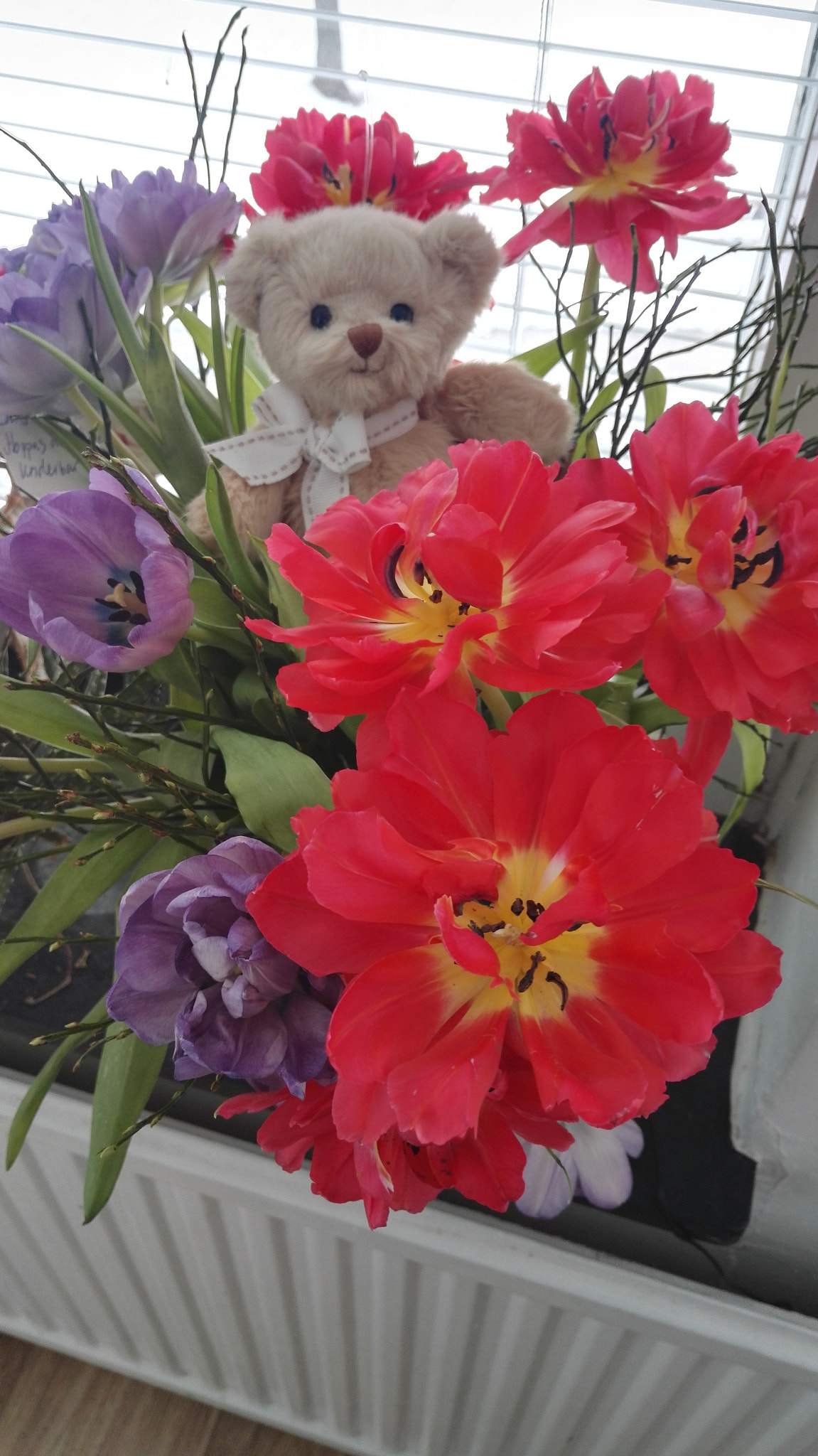 HUAWEI Honor 7 sample photo