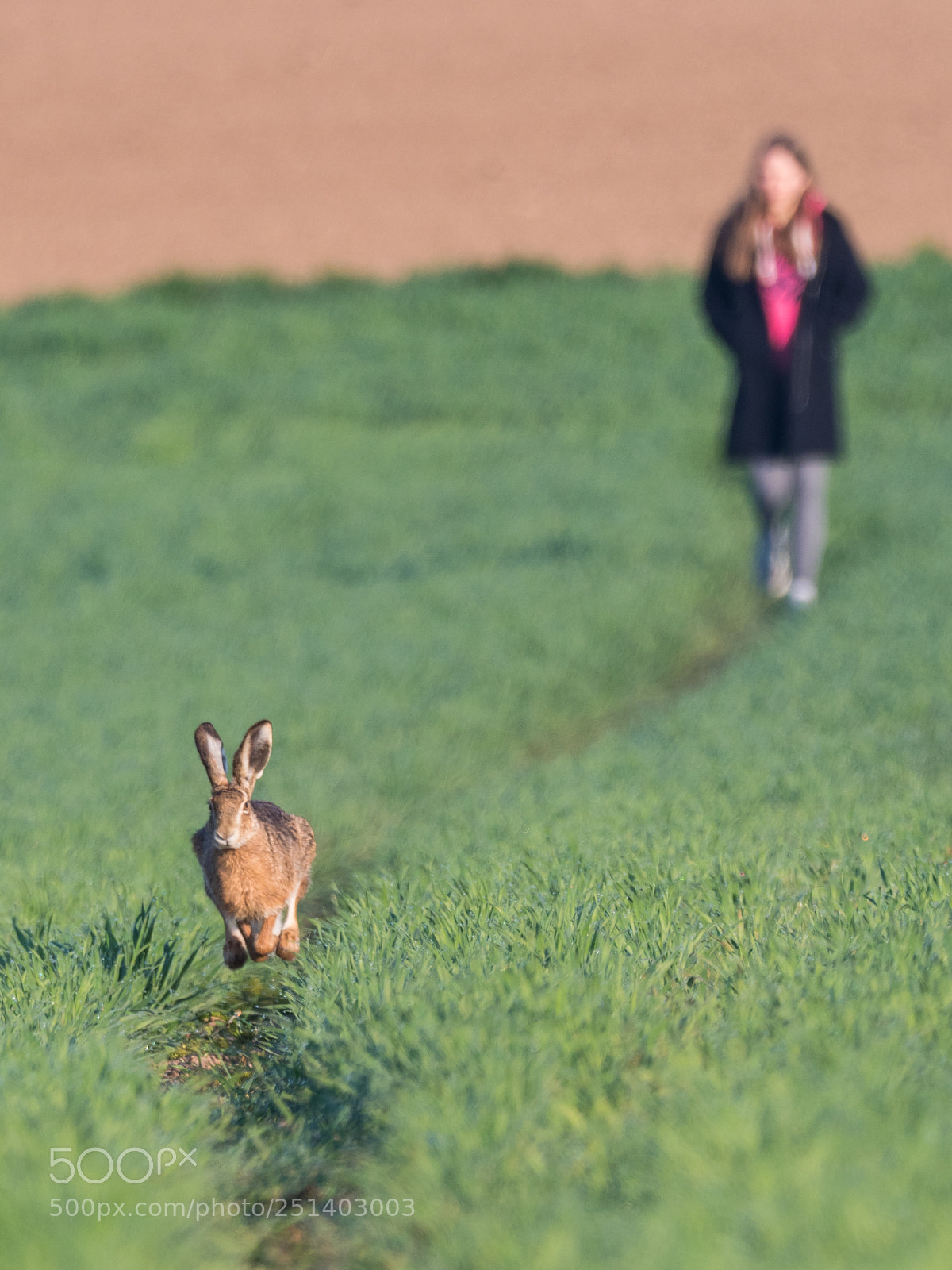 Olympus OM-D E-M1 Mark II sample photo. Happy easter photography