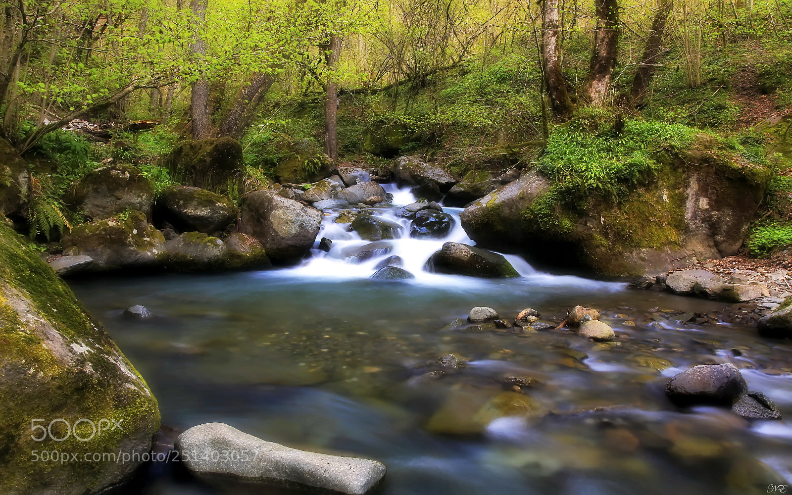 Canon EOS 6D + Canon EF 24-105mm F4L IS USM sample photo. Весна photography