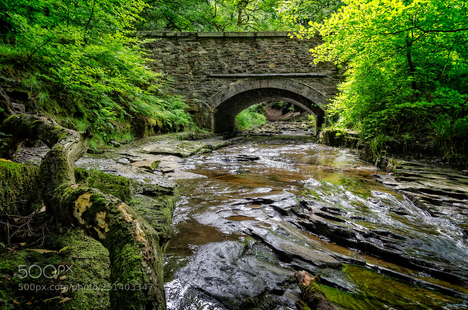 Nikon D7000 sample photo. Going with the flow photography