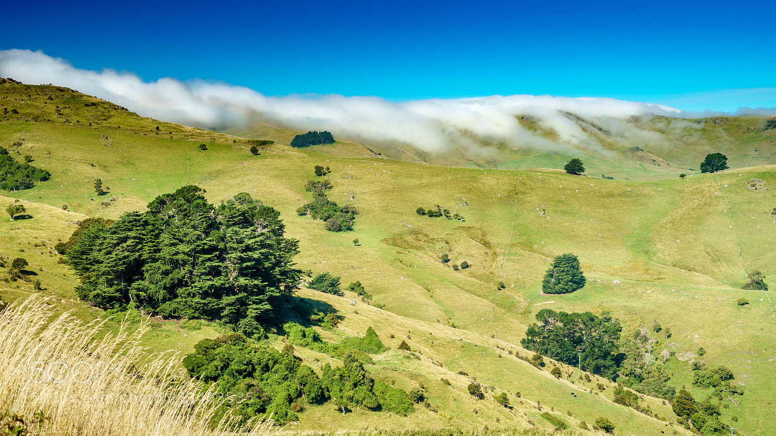 Sony a9 sample photo. Clouds are pulling over photography