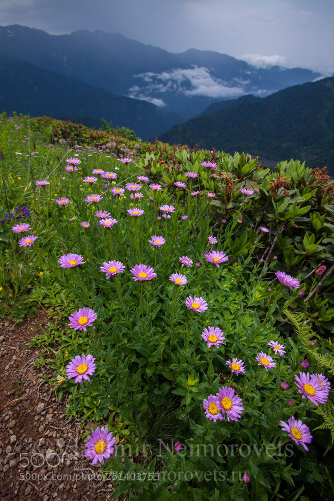 Canon EOS 50D sample photo. Eastern kodor abhazia img photography
