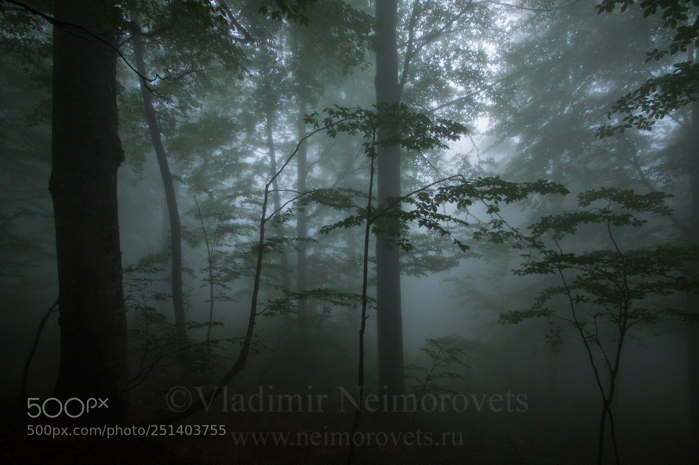 Canon EOS 50D sample photo. Eastern kodor abkhazia img photography