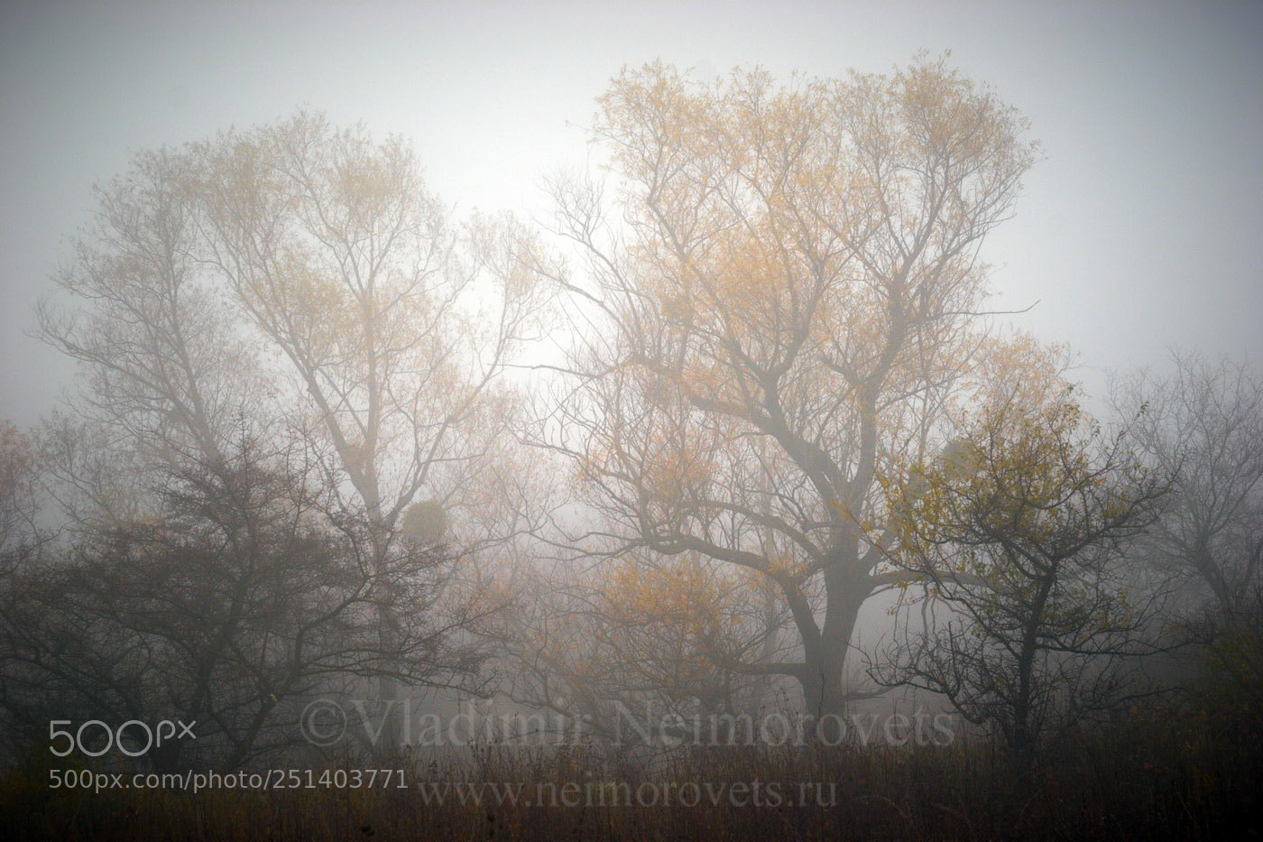Canon EOS 20D sample photo. Ilsky neighborhood krasnodar territory photography
