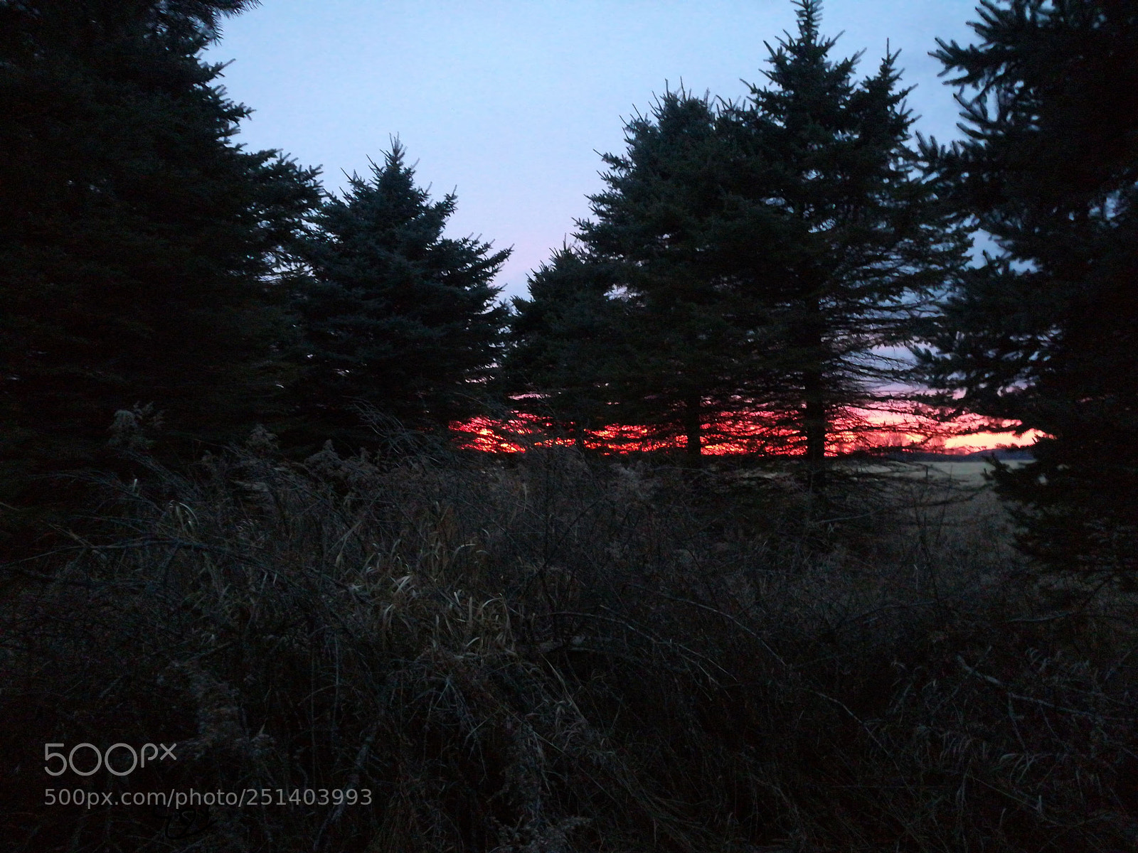 HUAWEI honor 6x sample photo. Fire on the horizon photography