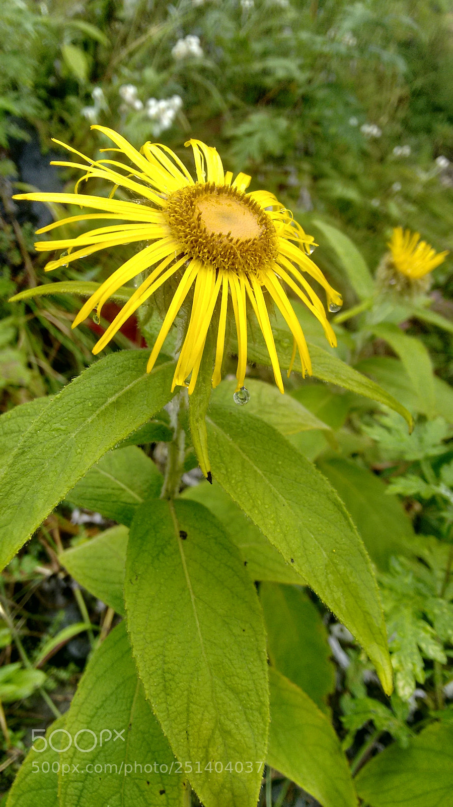 Motorola Moto G (2nd Gen) sample photo. Way to annapurna basecamp photography