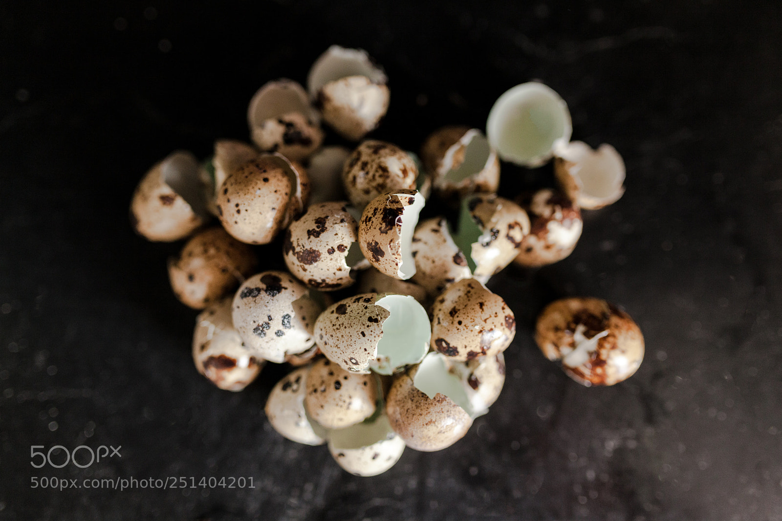 Canon EOS 5D Mark II sample photo. Quail eggshell egg photography