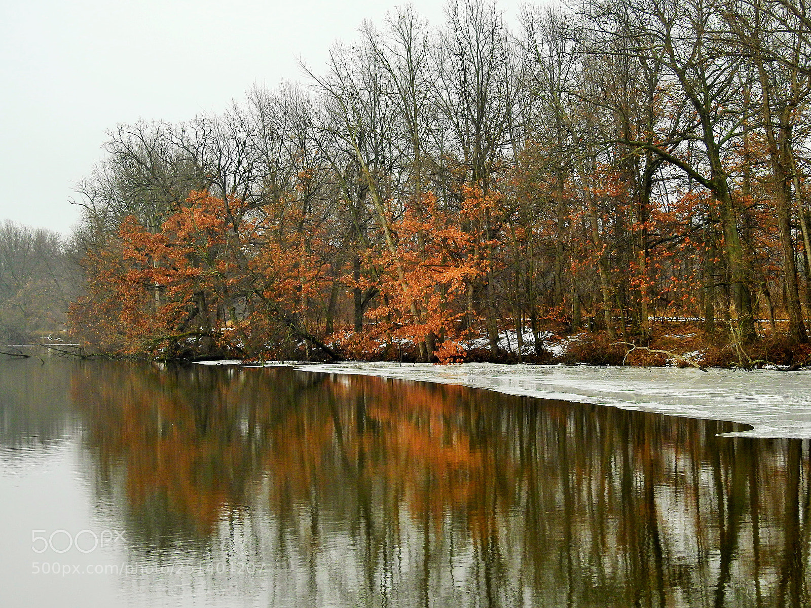 Nikon Coolpix P900 sample photo. Ice edged pond photography