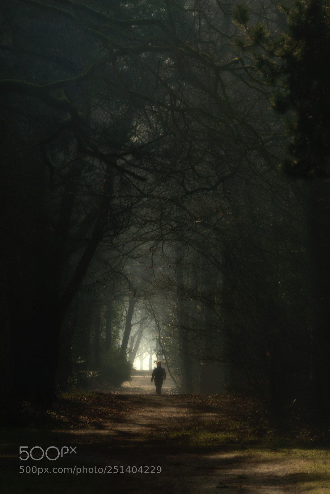 Nikon D800 sample photo. Light at the end photography
