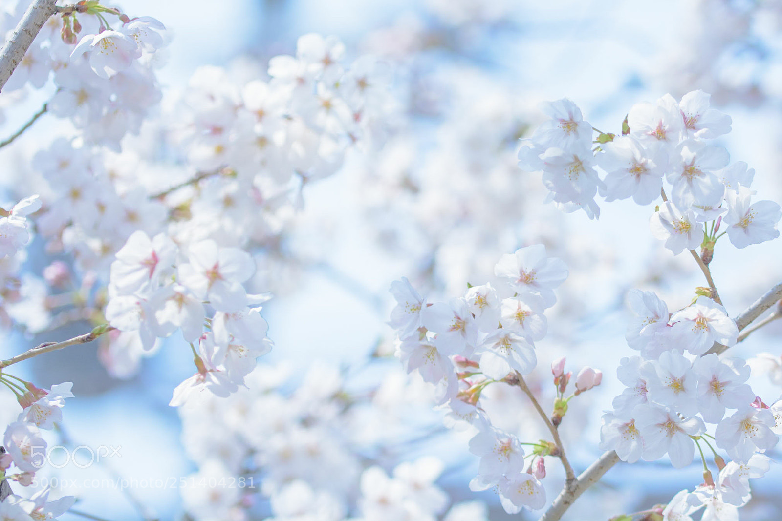 Nikon D7100 sample photo. Huniki photography