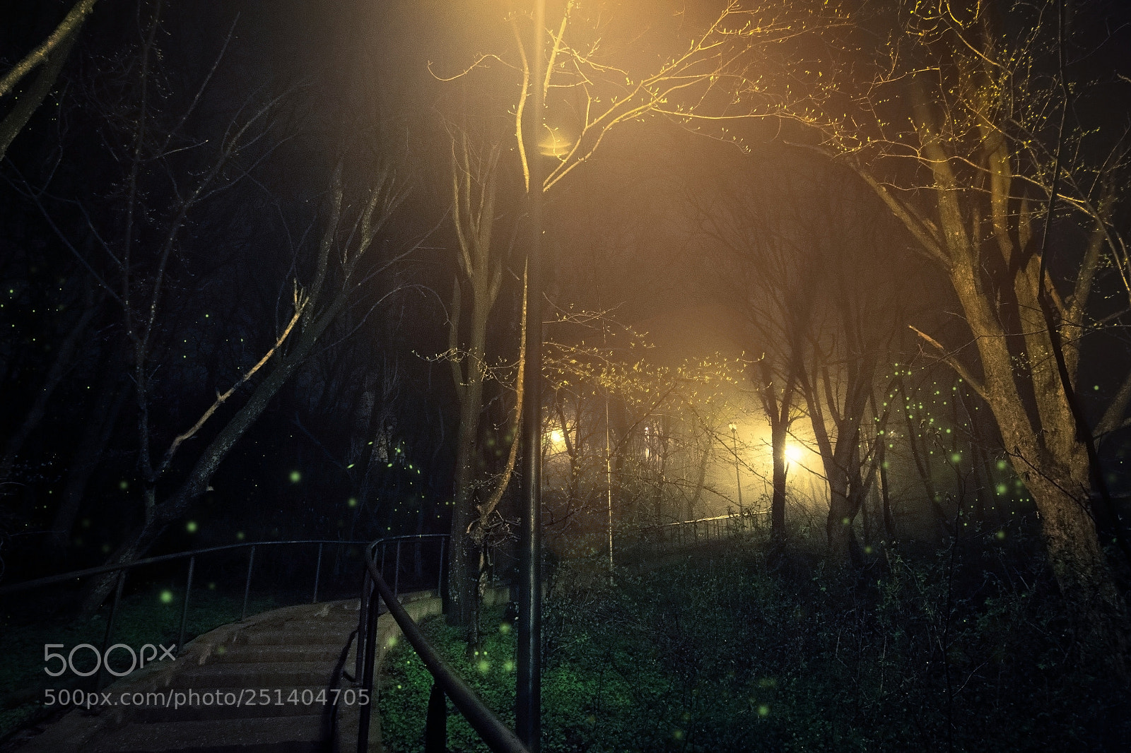 Nikon D7200 sample photo. Fireflies photography