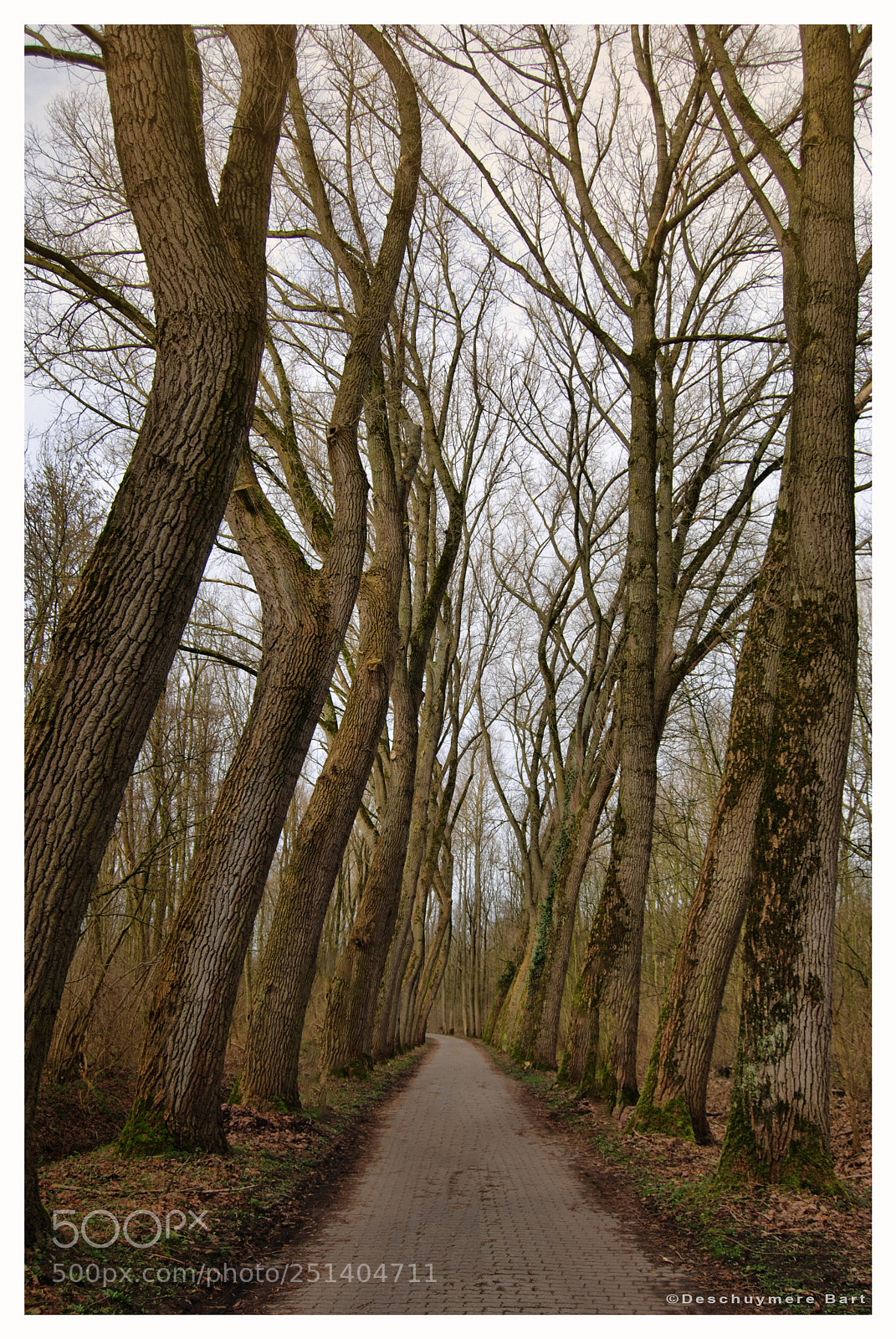 Nikon D60 sample photo. Nobody photography