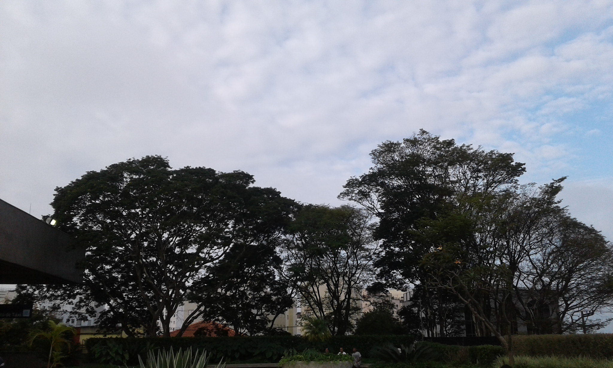 Samsung Galaxy J1(2016) sample photo