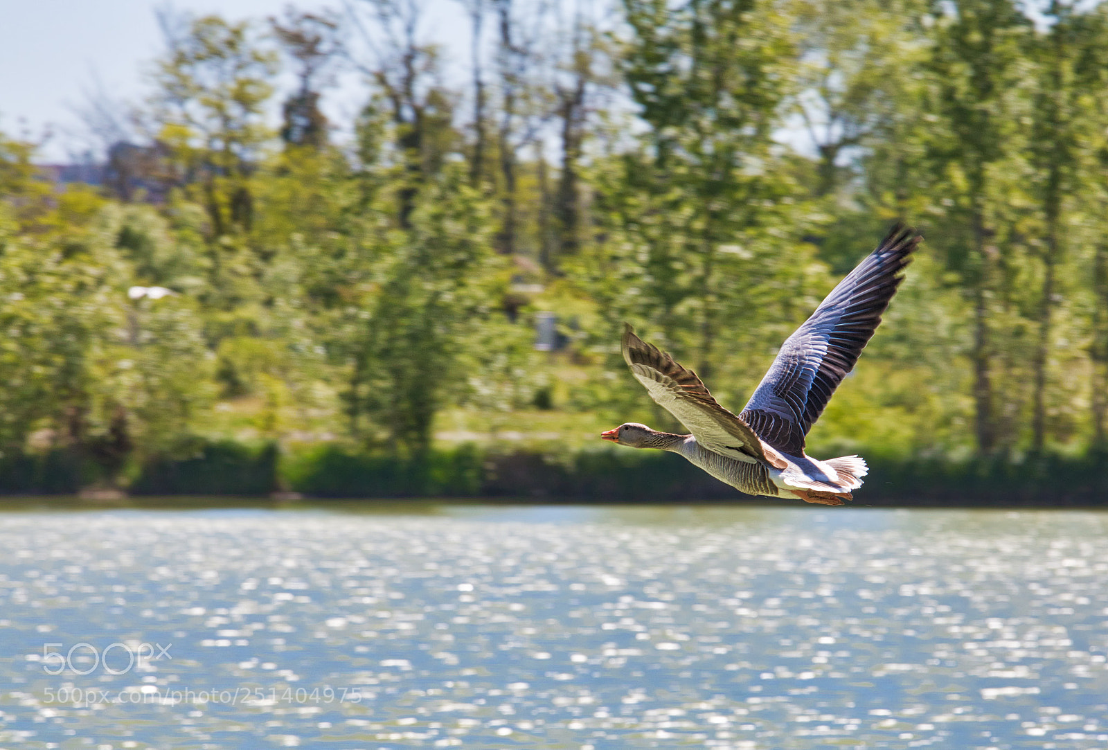 Canon EOS 760D (EOS Rebel T6s / EOS 8000D) sample photo. Lift-off photography