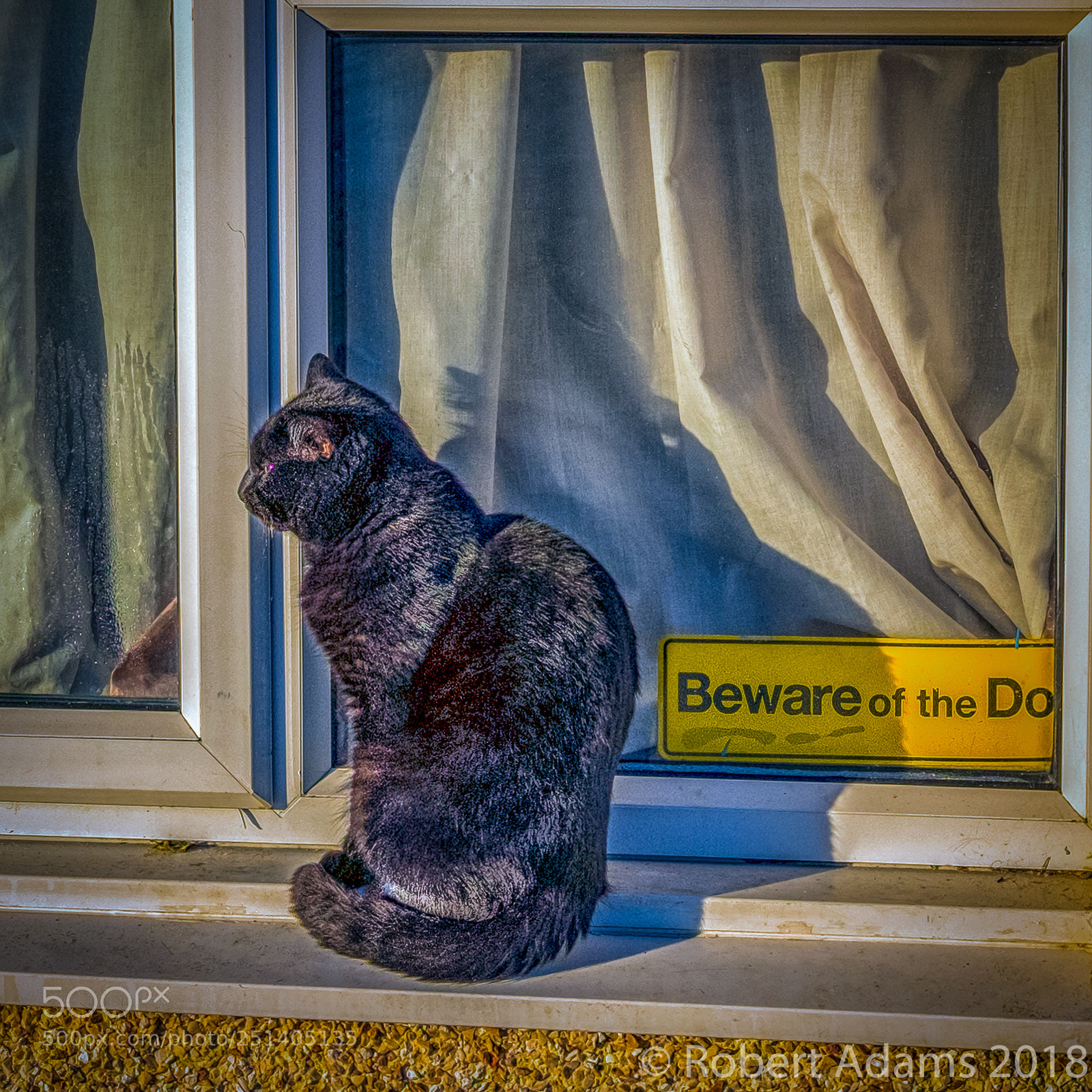 Fujifilm X-T1 sample photo. Not afraid of the photography
