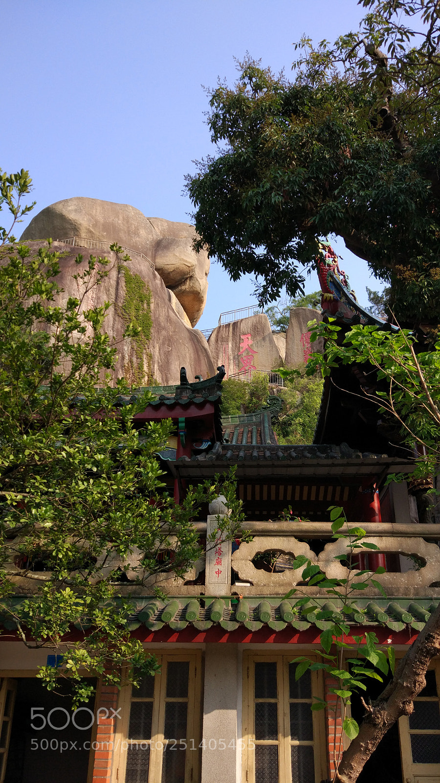 Xiaomi MI 5 sample photo. Untitled photography