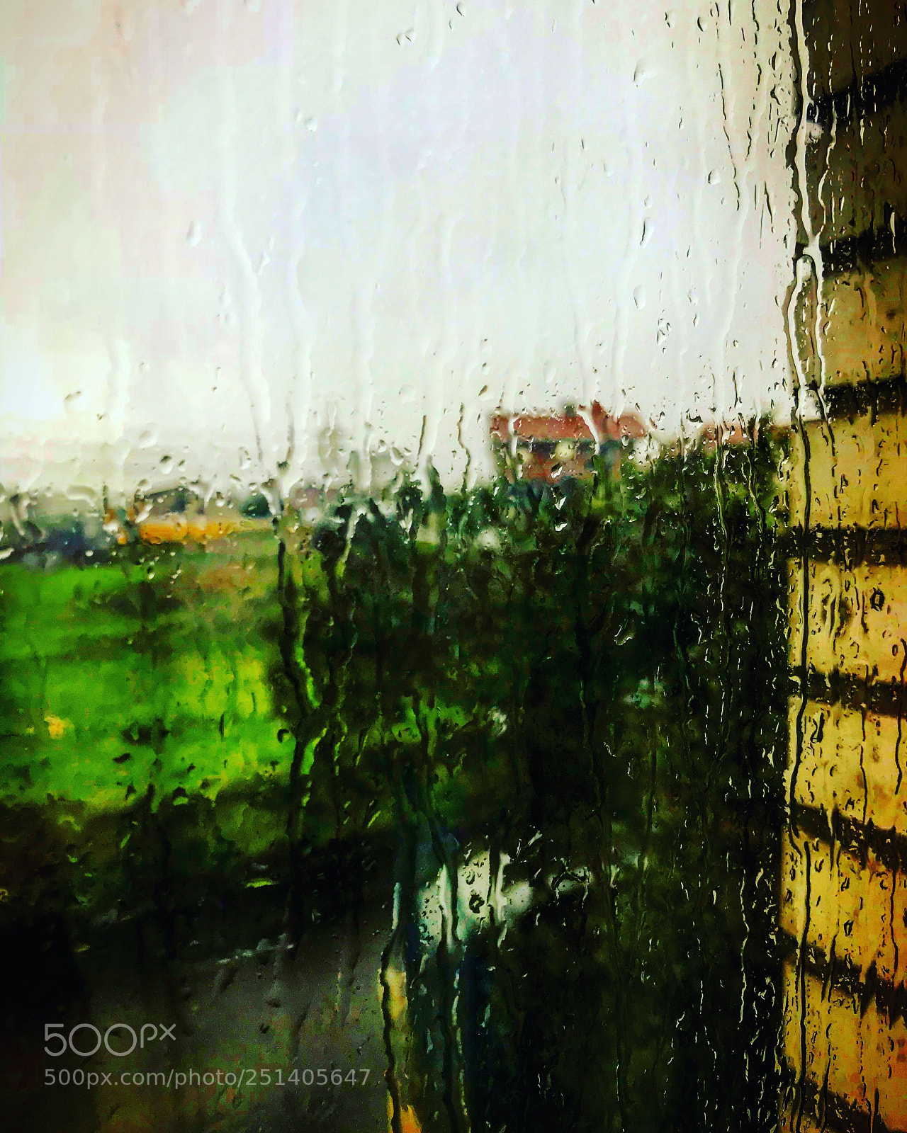 Apple iPhone 7 sample photo. Untitled photography