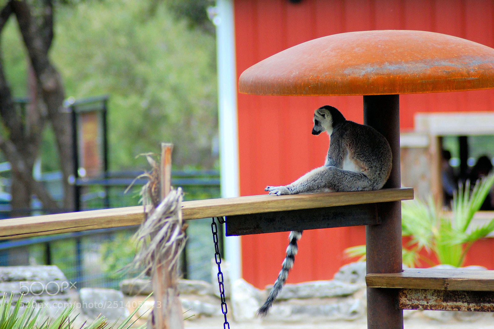 Nikon D40 sample photo. Sitting photography