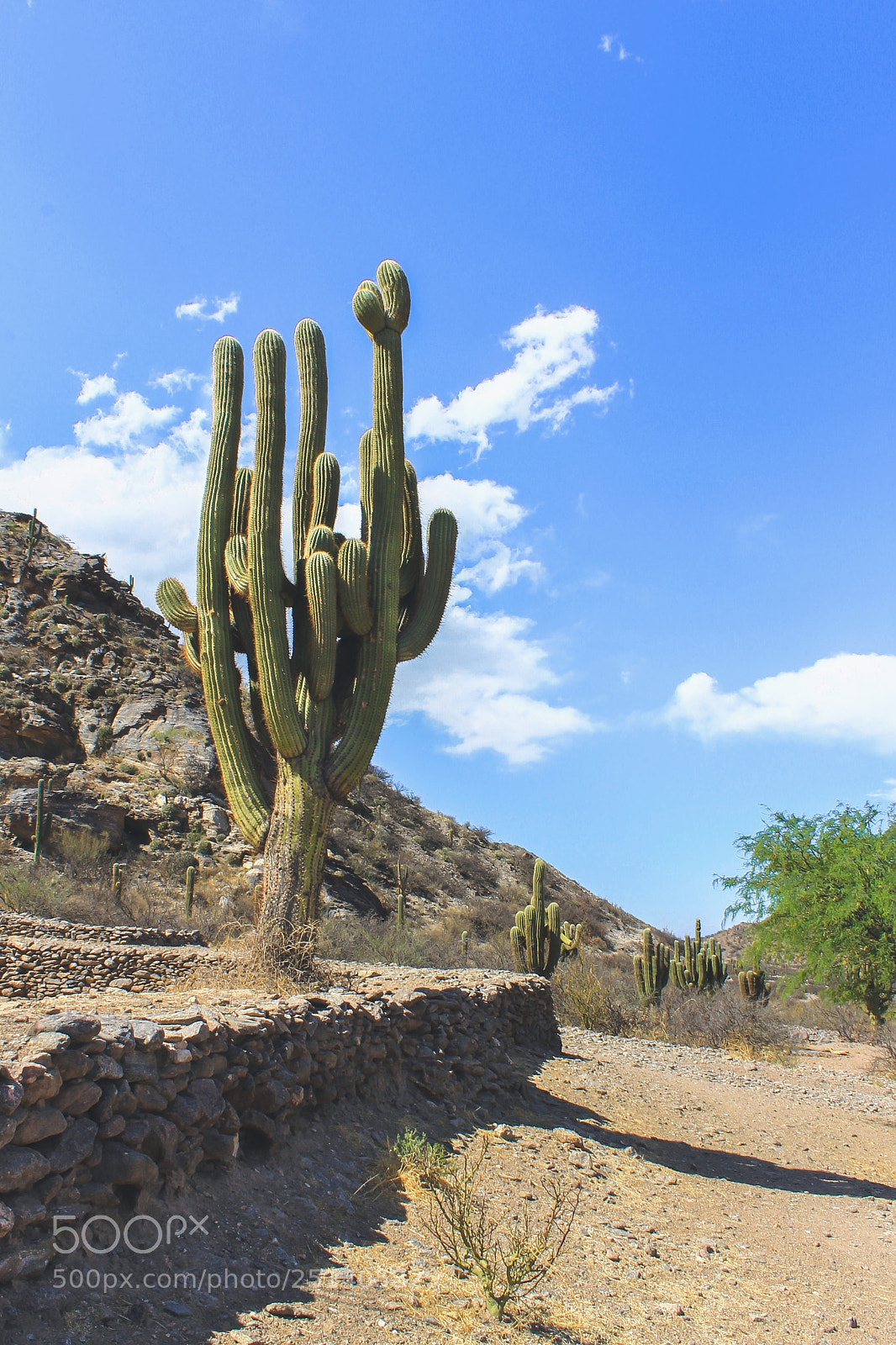 Canon EOS 1100D (EOS Rebel T3 / EOS Kiss X50) sample photo. Andes argentine photography