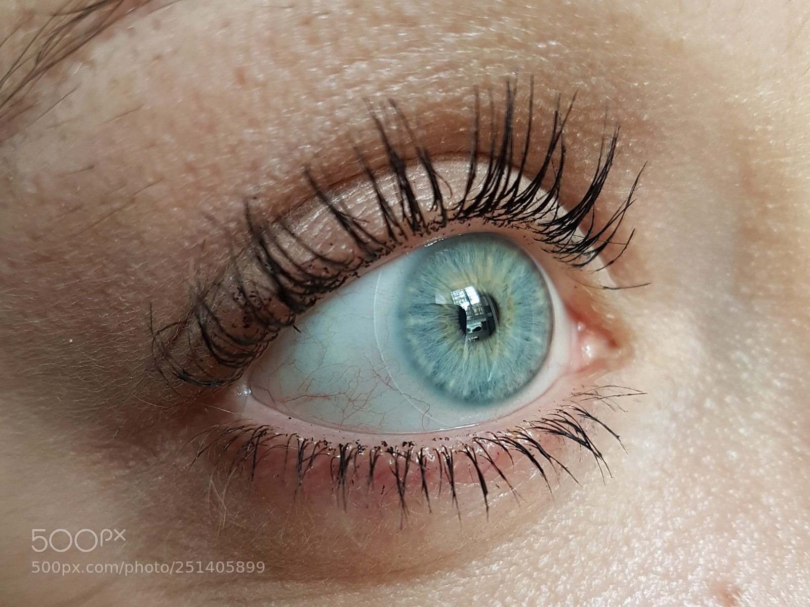 Samsung Galaxy S7 Edge sample photo. Untitled photography