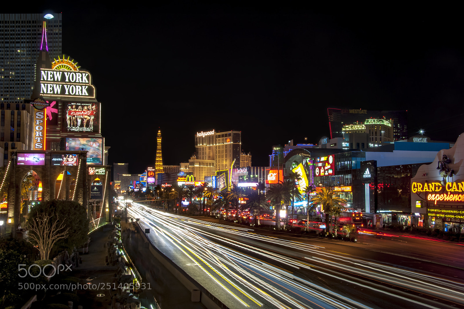 Nikon D700 sample photo. Las vegas boulevard the photography