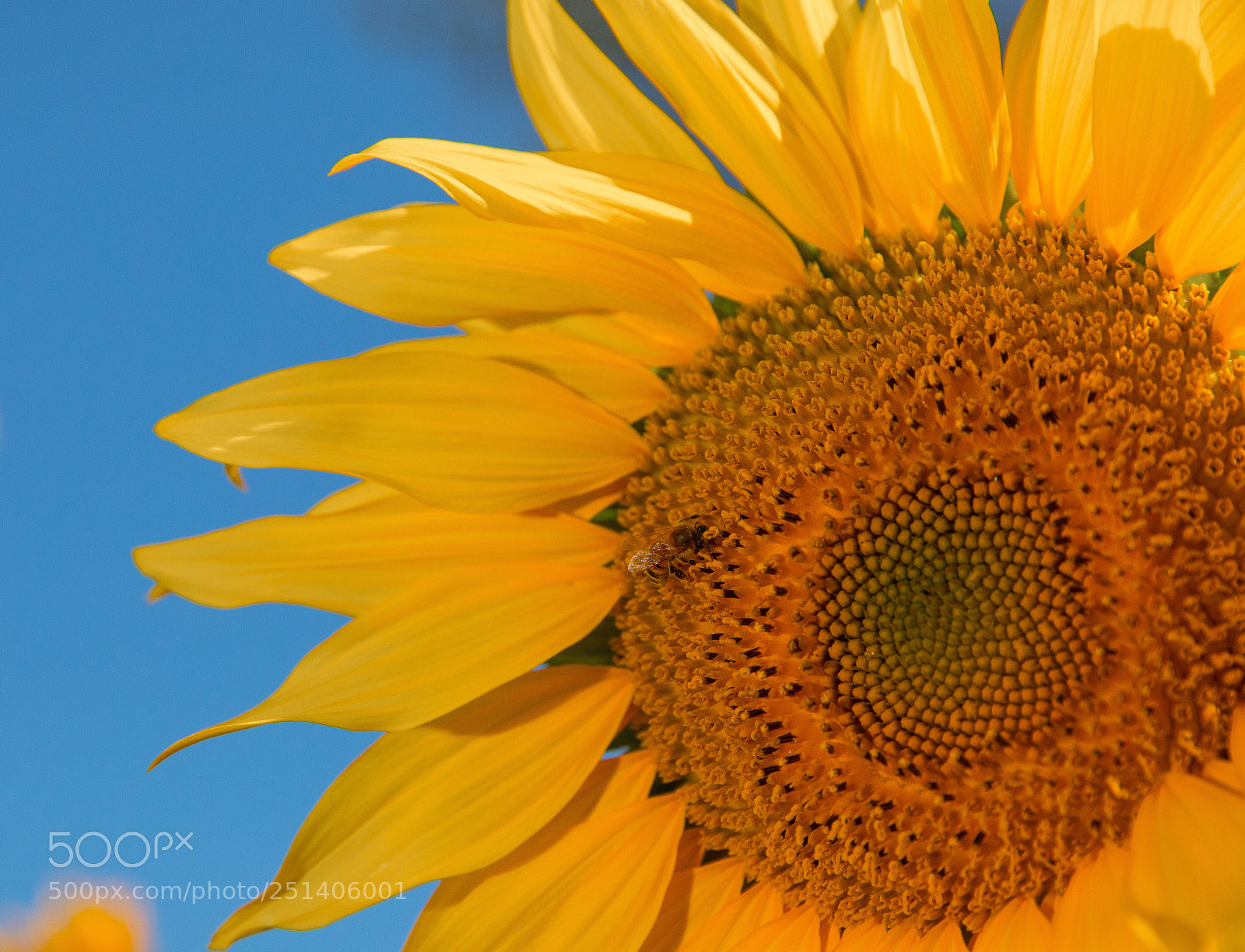 Canon EOS 5D Mark IV sample photo. Untitled photography