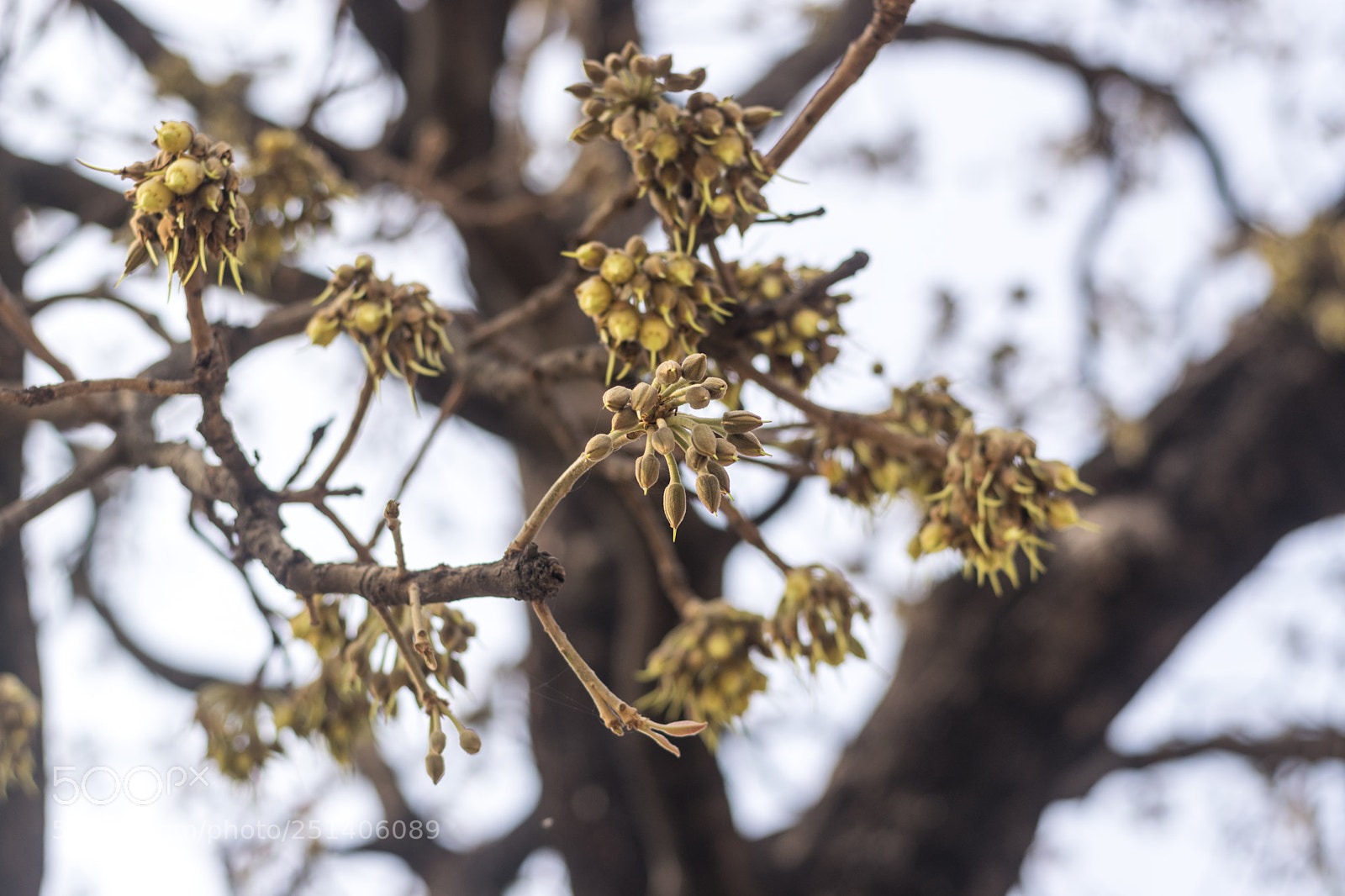 Nikon D3300 sample photo. Untitled photography