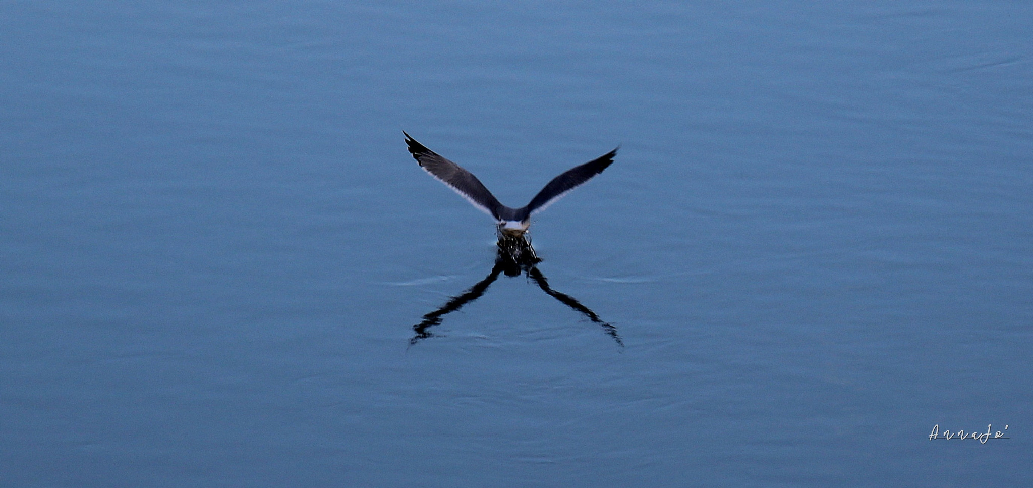 Canon EF-S 18-200mm F3.5-5.6 IS sample photo. The unknown photography