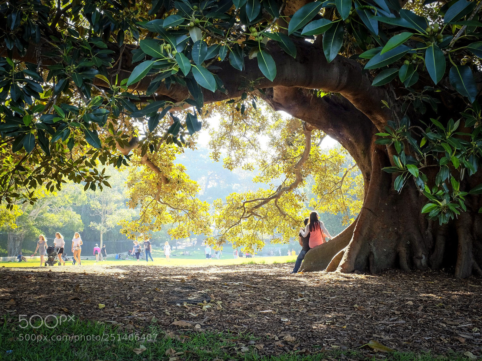 Fujifilm X100S sample photo. Intimate moment at royal photography