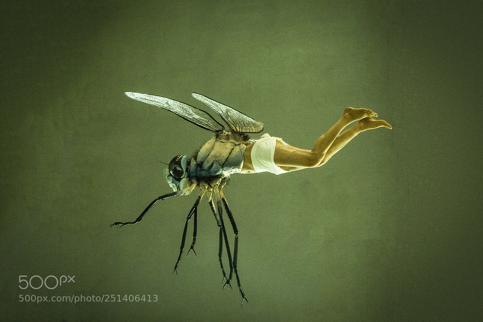 Canon EOS 60D sample photo. Dragonfly angel photography