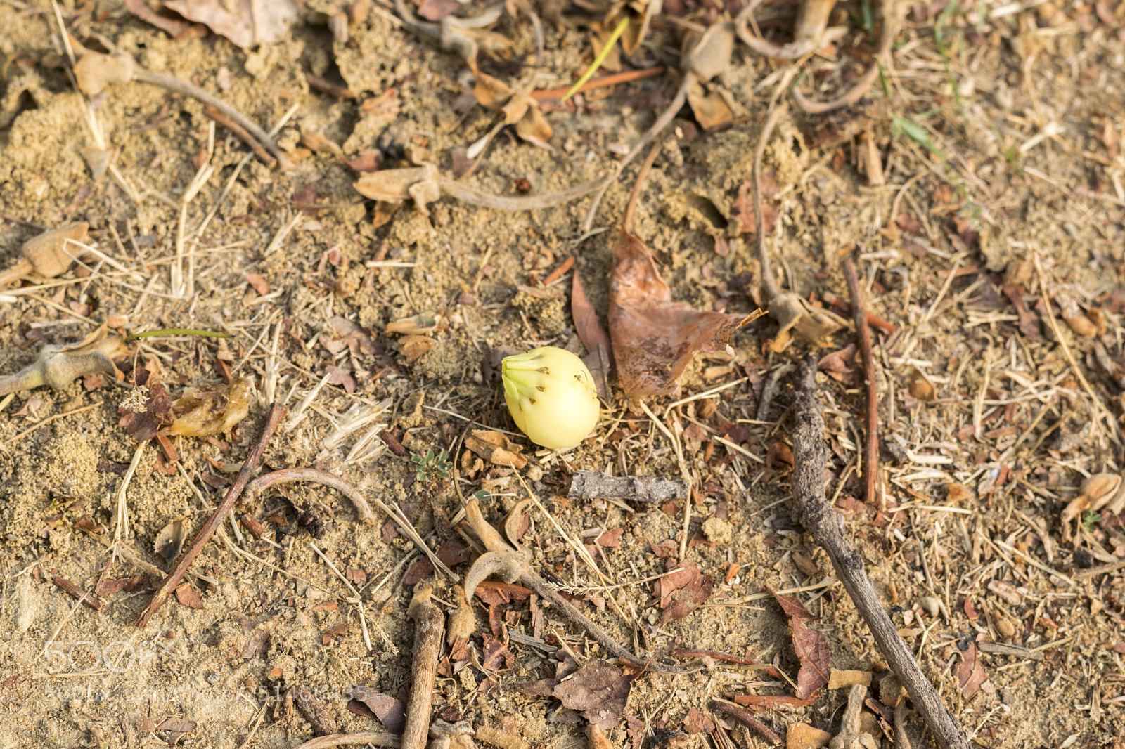Nikon D3300 sample photo. Untitled photography