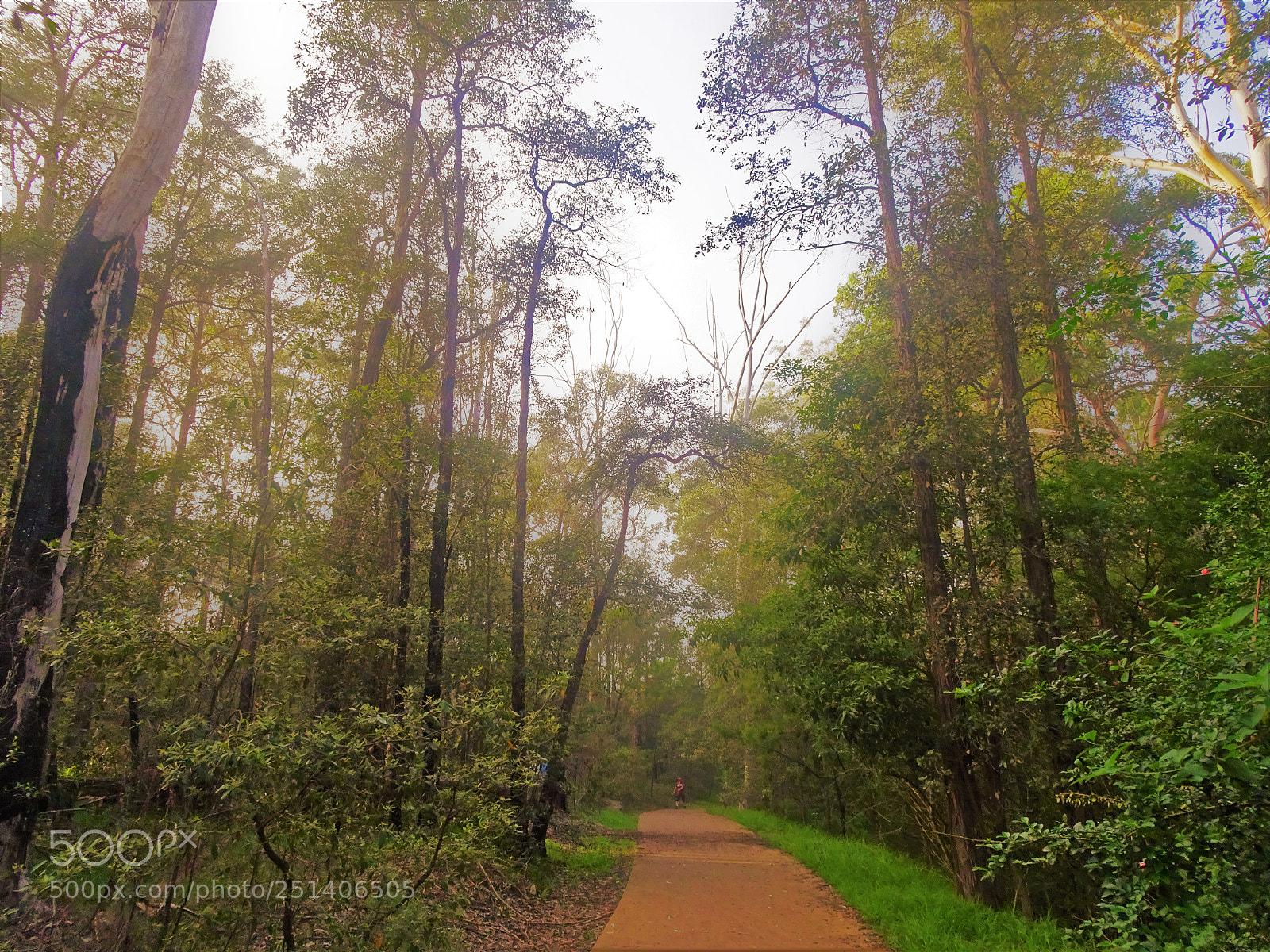 Sony Cyber-shot DSC-HX90V sample photo. Walking photography