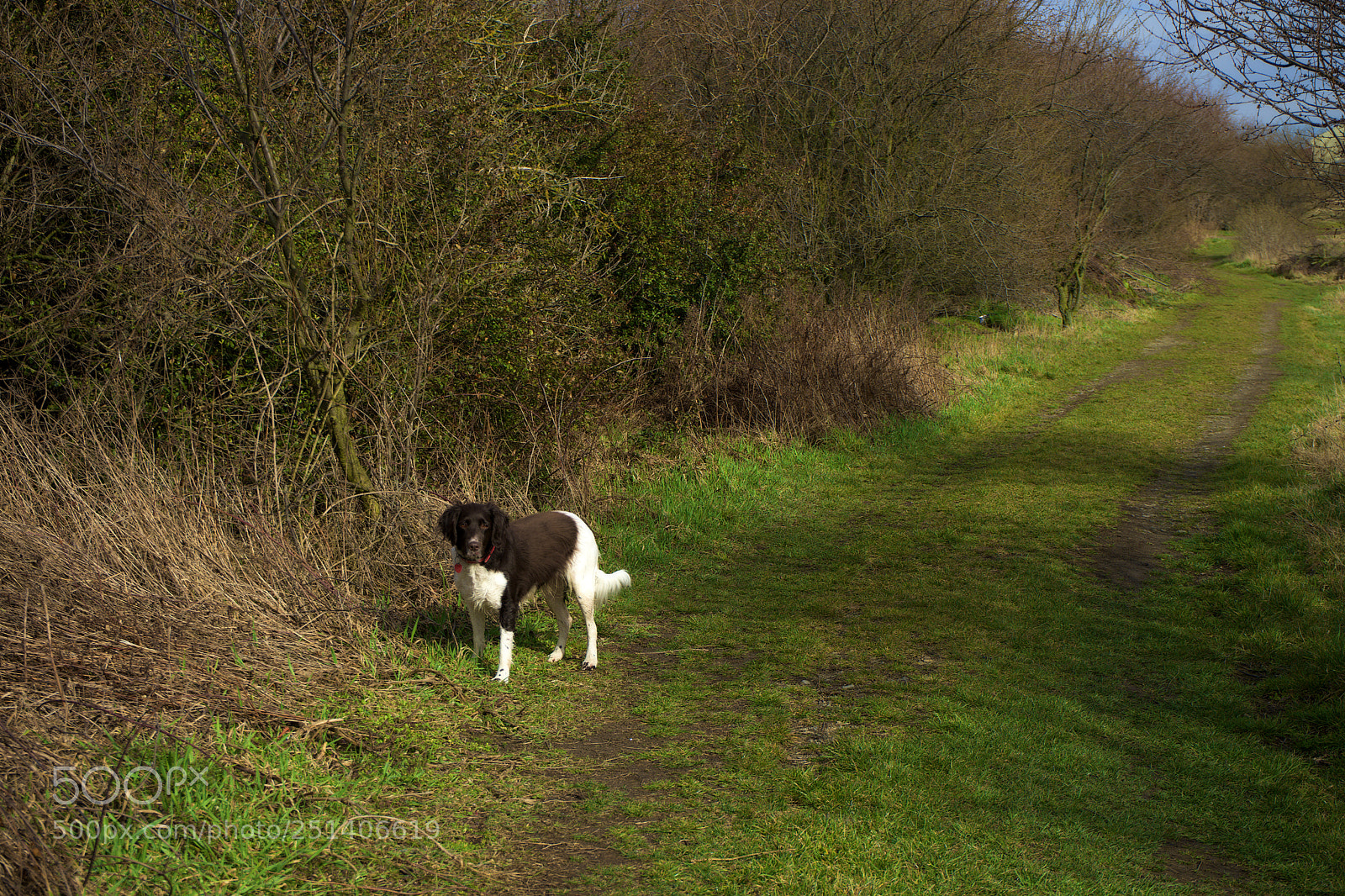 Sony a7 sample photo. Cony photography