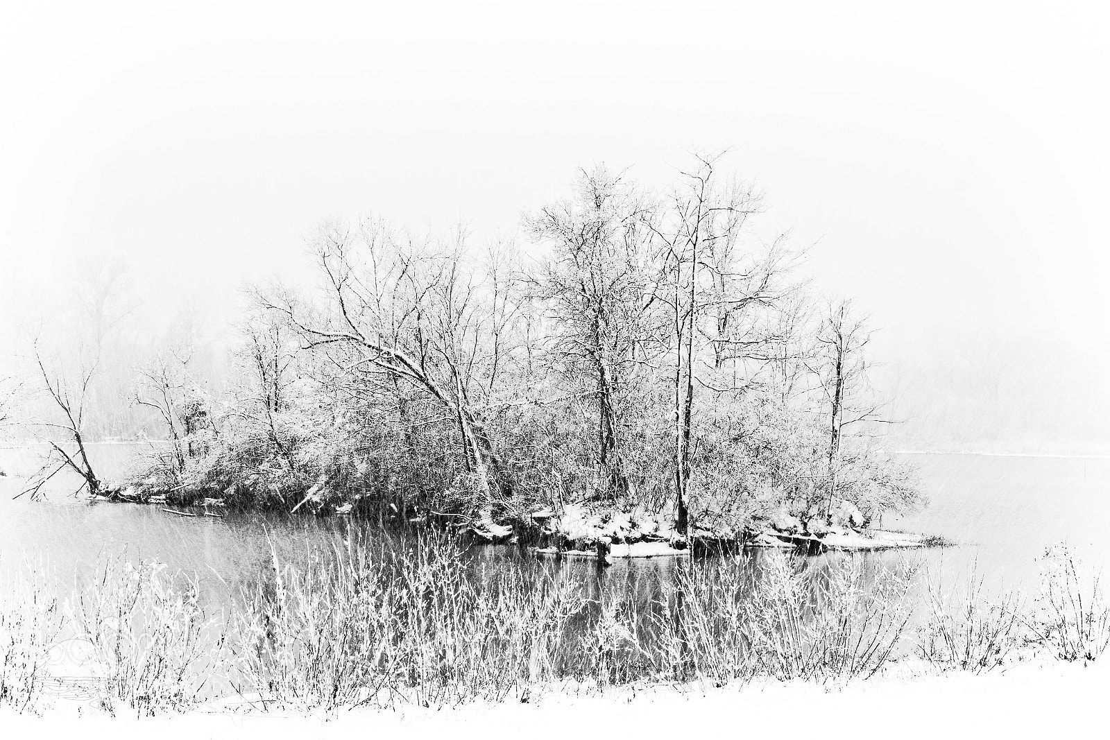 Nikon D5200 sample photo. White out photography