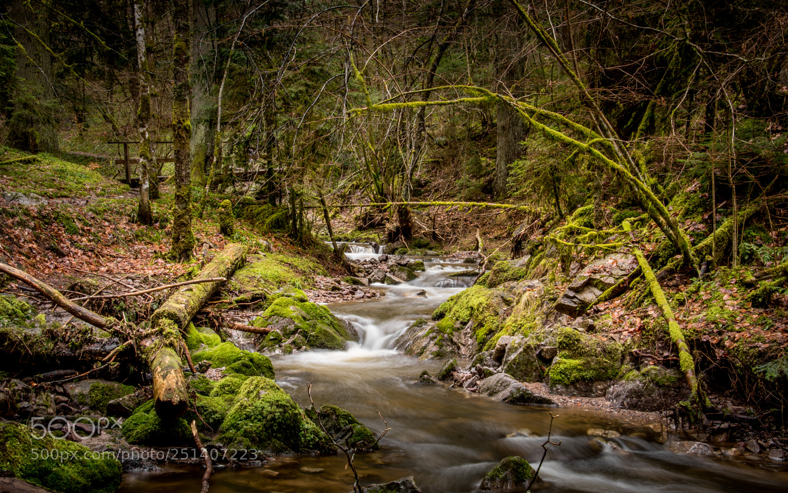 Sony ILCA-77M2 sample photo. Stream in early spring photography