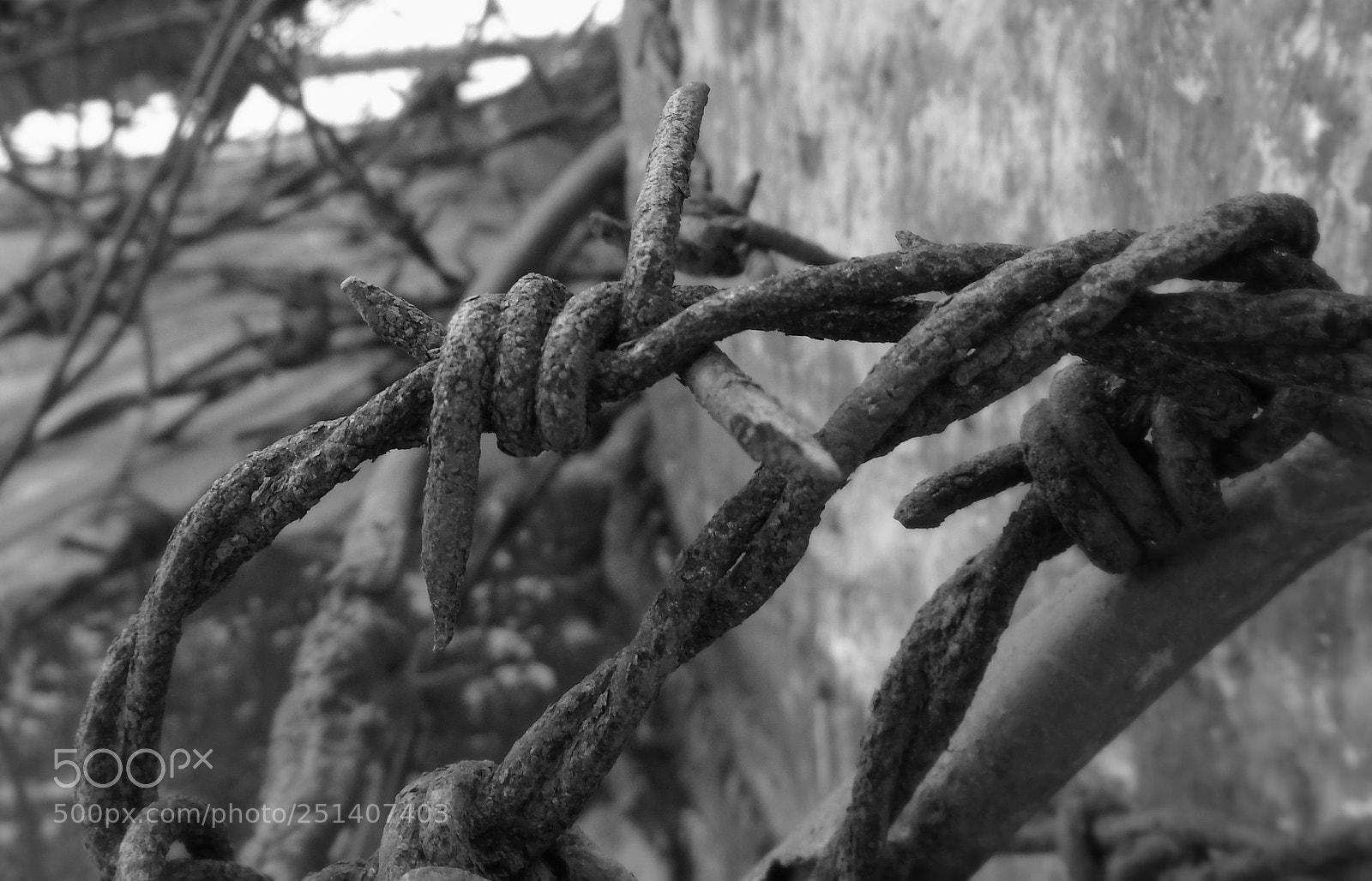 Sony Cyber-shot DSC-W800 sample photo. Rusted iron photography