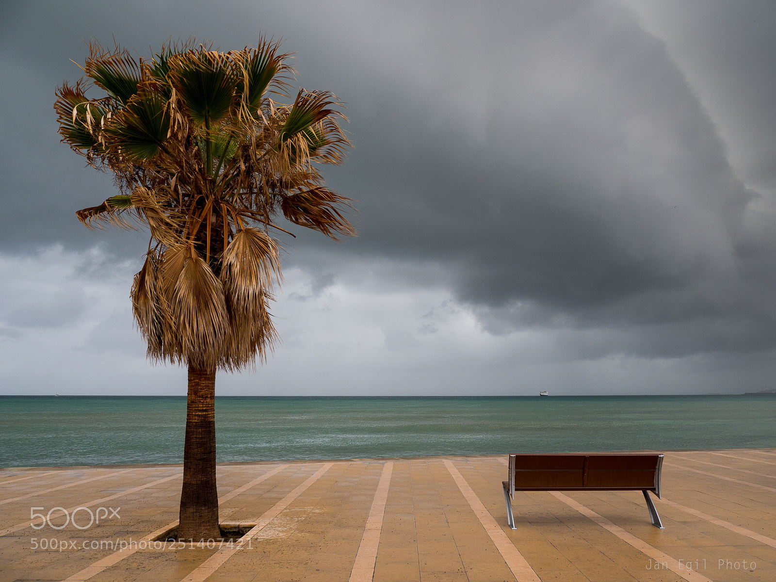 Olympus OM-D E-M1 Mark II sample photo. Before the rain photography