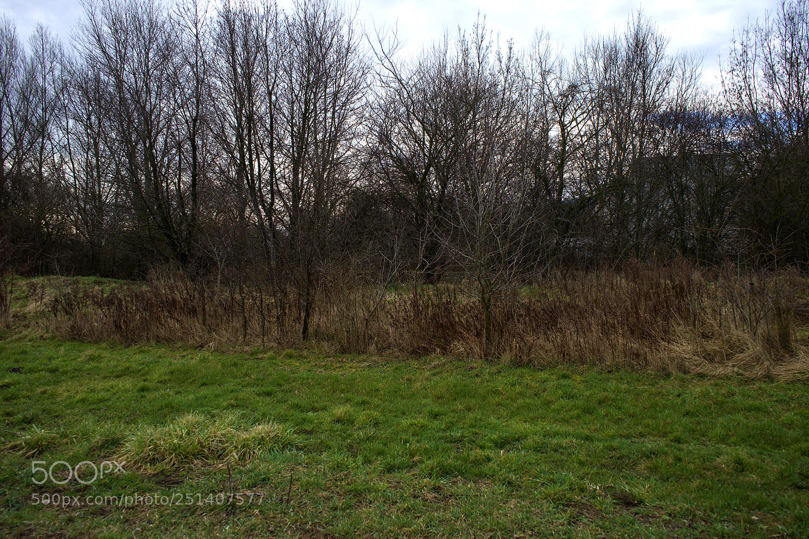 Sony a7 sample photo. Winter field photography