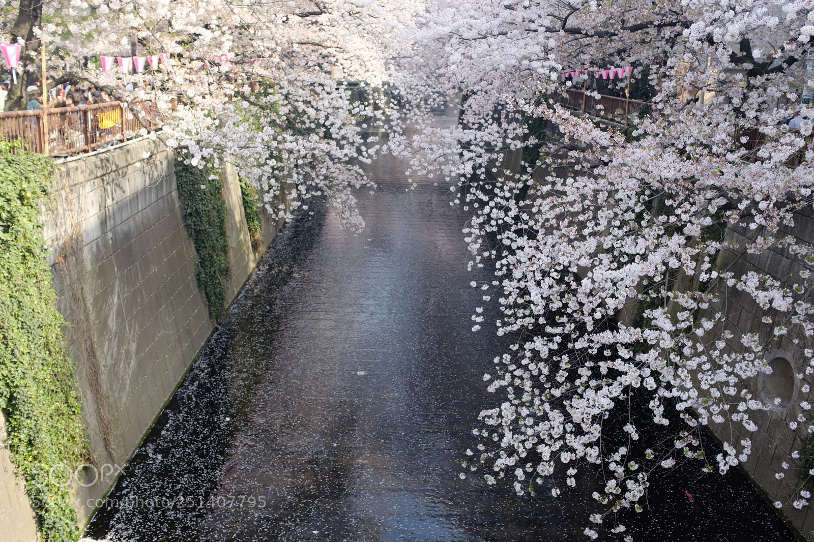 Fujifilm X100F sample photo. Untitled photography