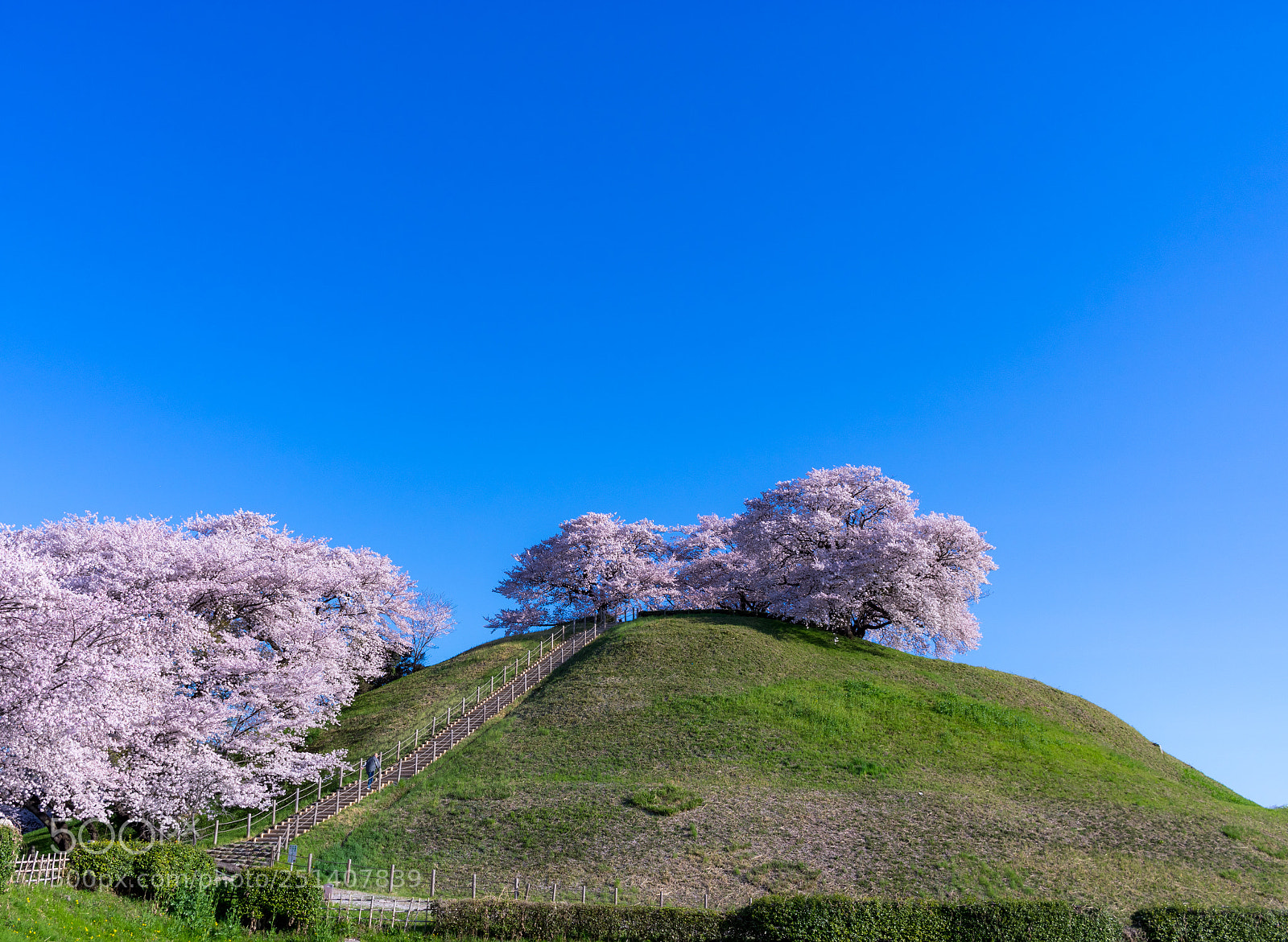 Pentax K-3 sample photo. `` photography