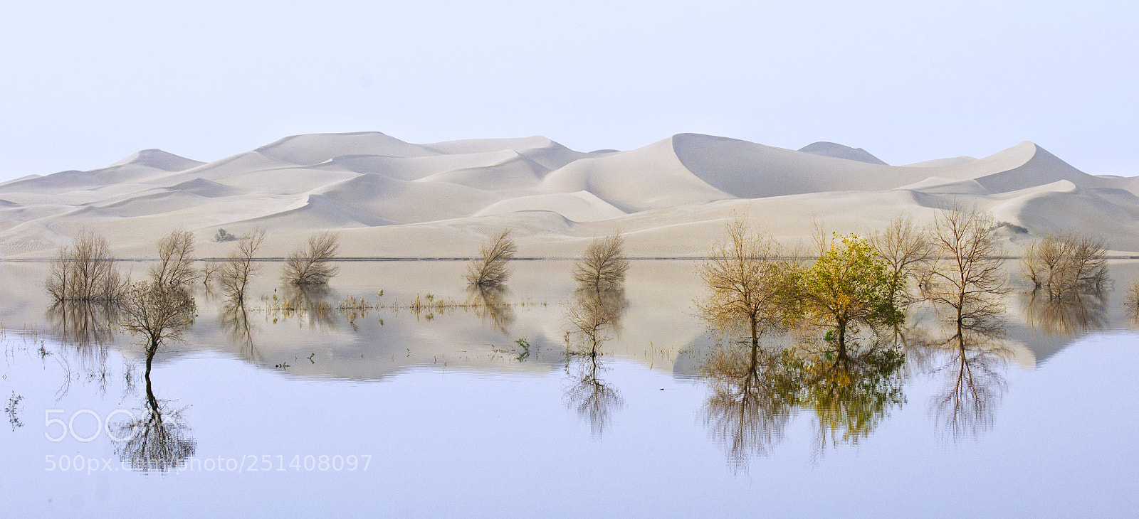 Nikon D7000 sample photo. As a mirror photography