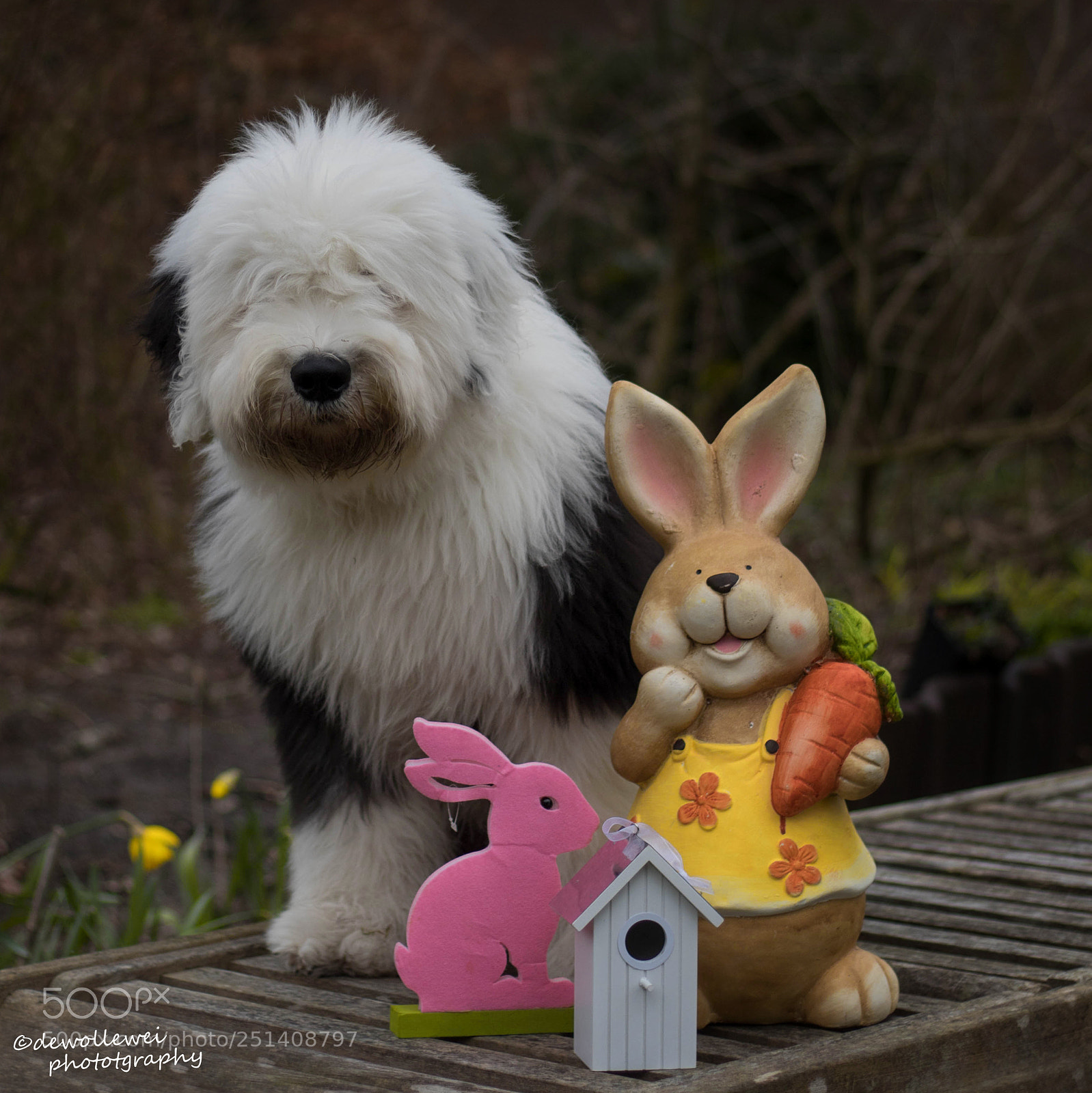 Canon EOS 7D Mark II sample photo. Berend says happy easter photography