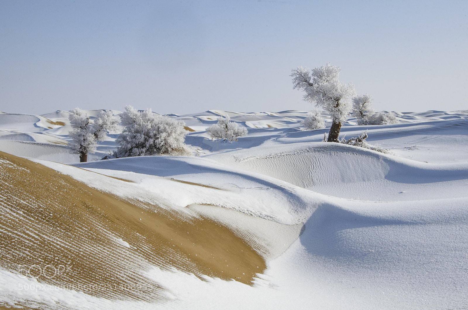 Nikon D7000 sample photo. Winter in the taklamakan photography