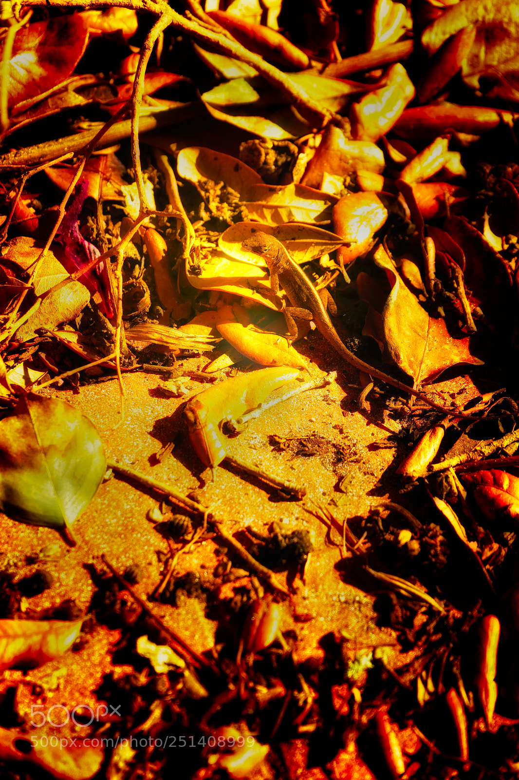 Sony a7 sample photo. Heartache - psalm 147:3-5 photography
