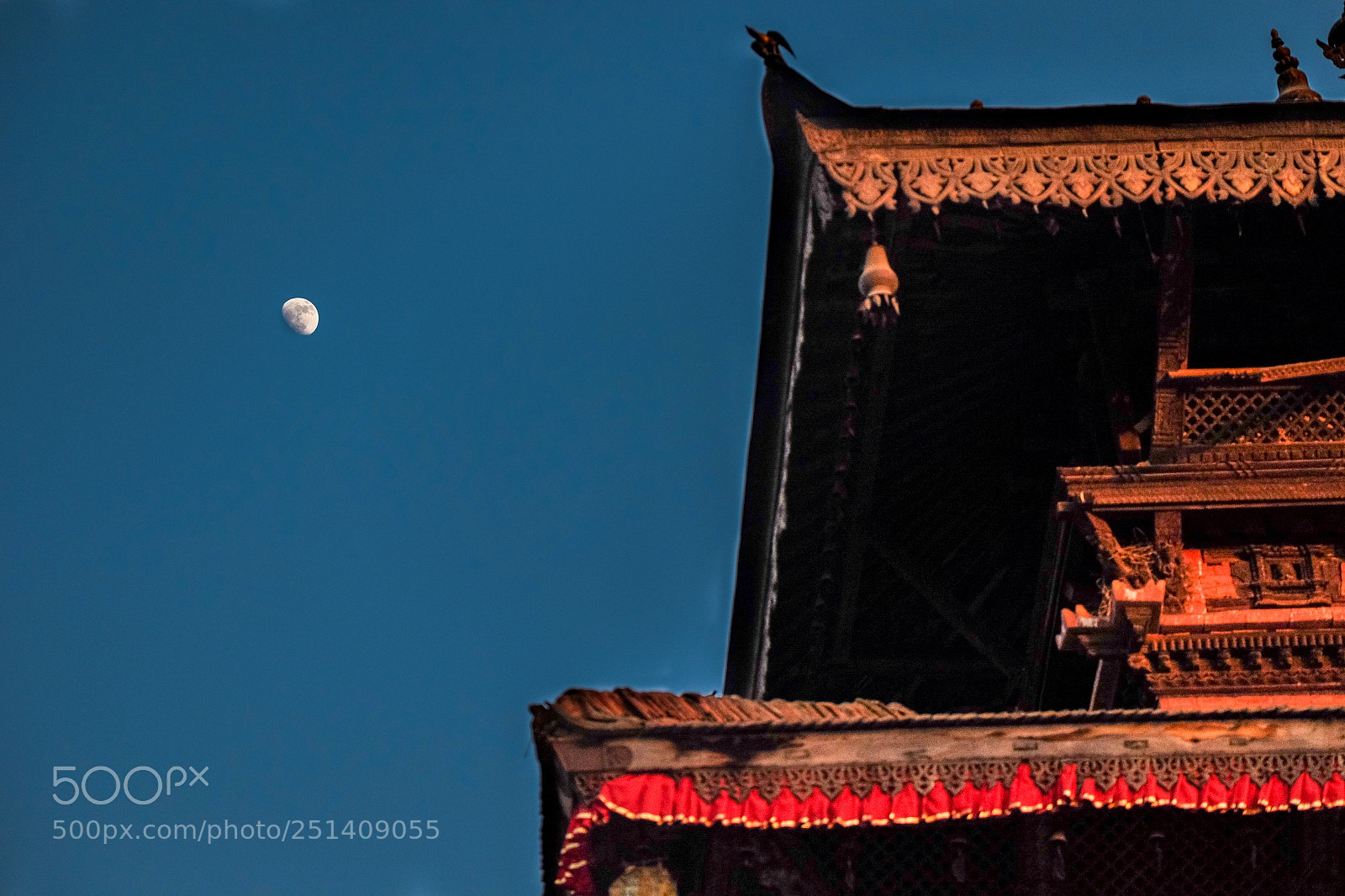 Fujifilm X-T1 sample photo. Untitled photography