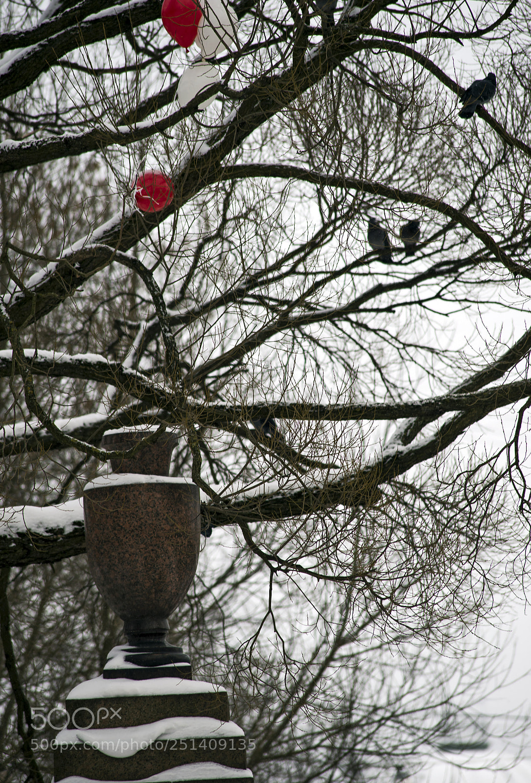 Nikon D4 sample photo. Wsp photography